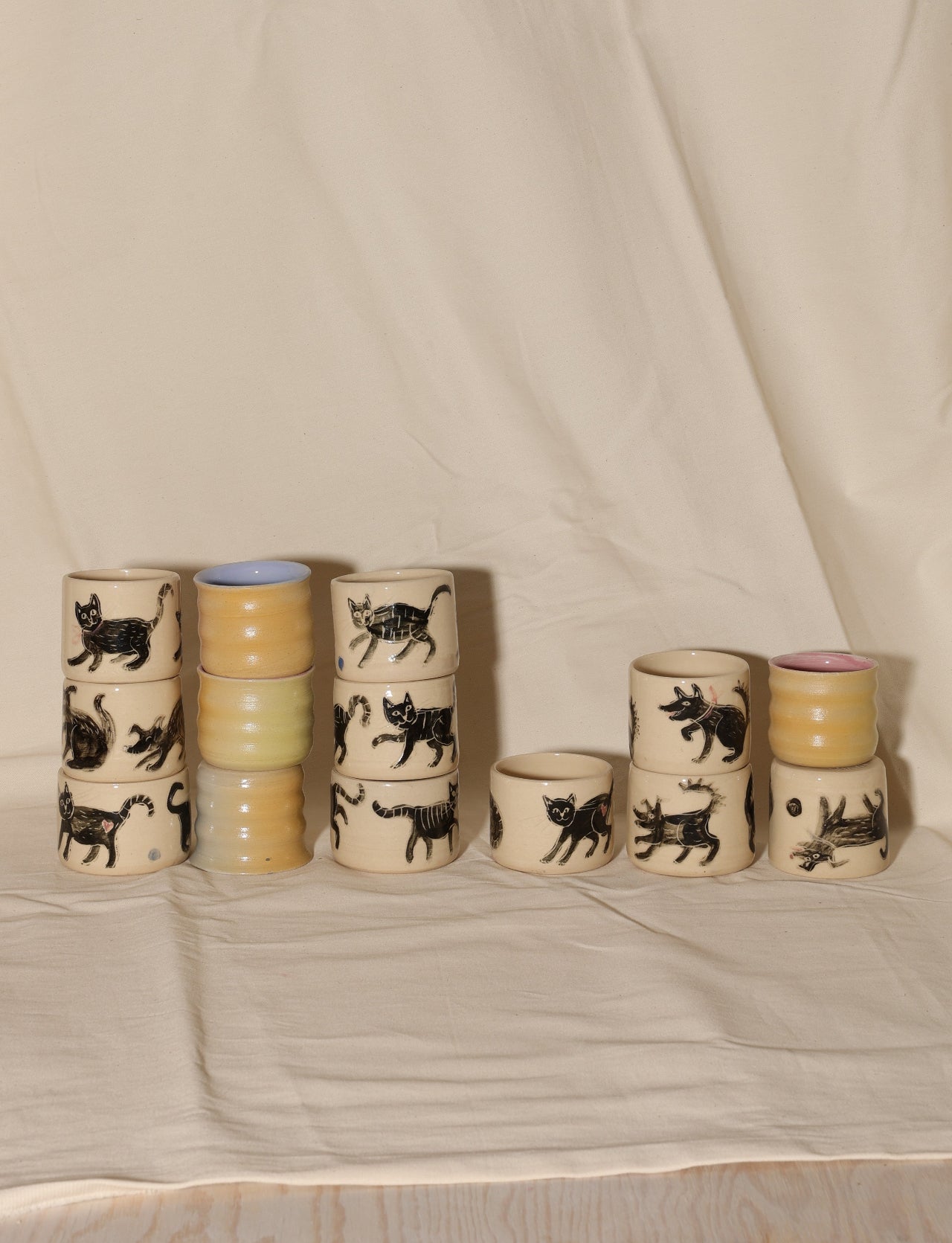 Czarki psy i koty kolorowe