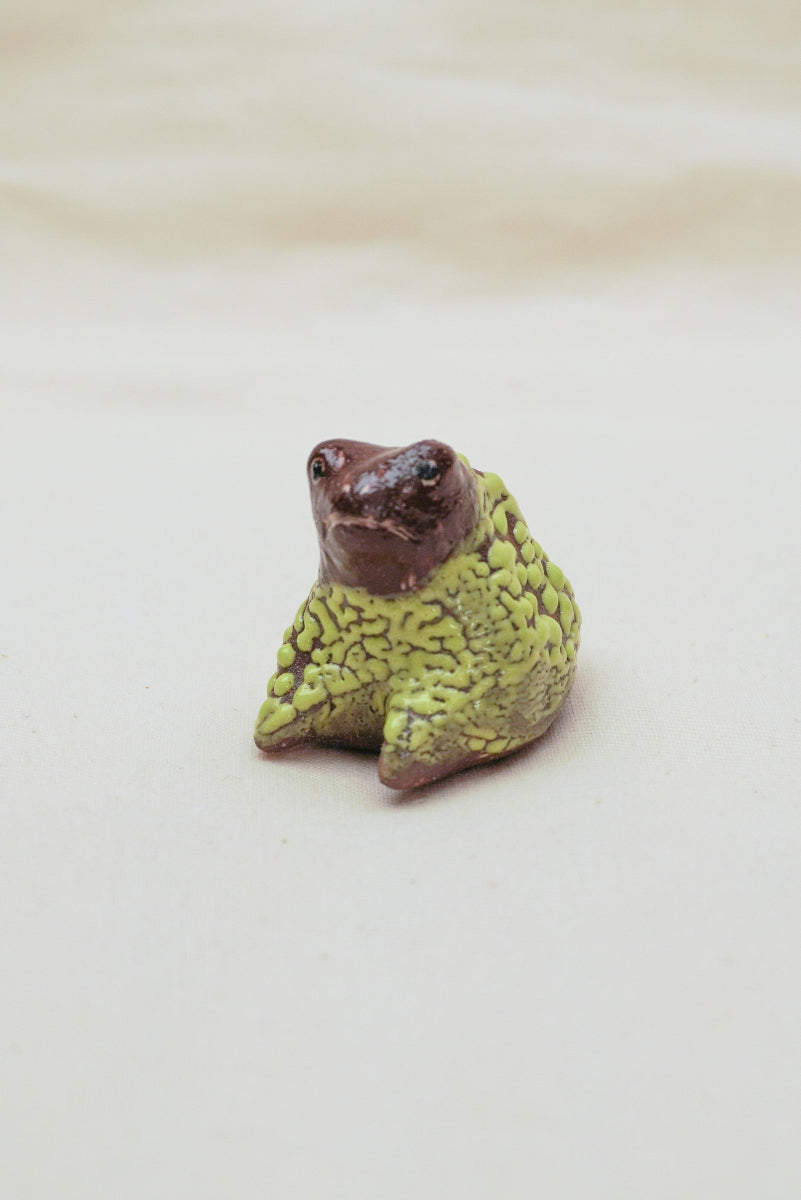 Smutna żaba kadzielnica